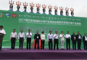 塞上明珠一带一路新起点  千亿沙草产业新使命