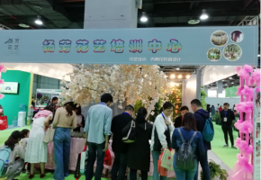 定格花簇绿叶世界，点亮绿色健康生活 2020仿真植物展广州3月举办