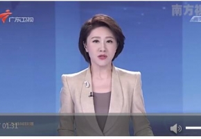 广东省长马兴瑞：研究推进大湾区科技创新