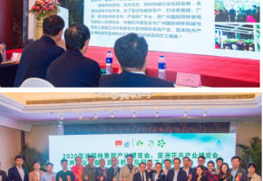 三月花城艳，邀客来赏花 2020亚洲花卉产业博览会新闻发布会广州举办