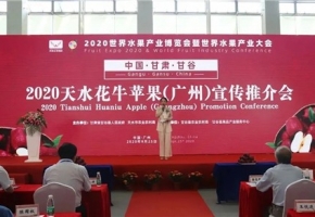 中国·甘肃·甘谷2020天水花牛苹果展示展销及宣传推介会在广州举行
