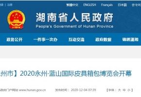 【永州市】2020永州·蓝山国际皮具箱包博览会开幕