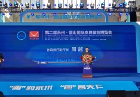 周越副厅长参加第二届永州蓝山国际皮具箱包博览会并致辞