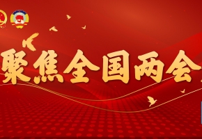 政府工作报告：推动高端装备、生物医药、新能源汽车、光伏、风电等新兴产业加快发展