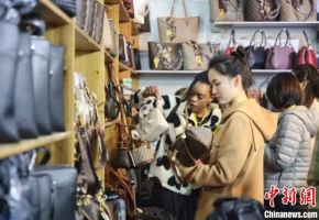 【中国新闻网】第三届永州·蓝山国际皮具箱包博览会开幕