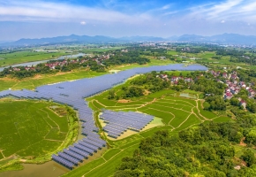 向阳追“光” 安徽掘金光伏产业“千百亿”赛道