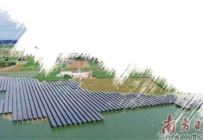 “追光逐风” 抢占新能源发展高地