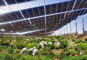 2025鸿威·世界太阳能光伏暨储能产业博览会助力中国发展光伏治沙