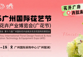 突破43万亿元！2024年我国外贸规模再创新高