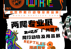 世爬展闪耀羊城