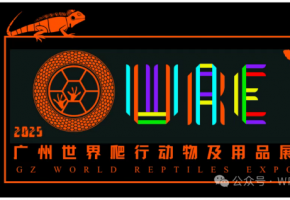 2025 鸿威・世界宠物博览会广州展即将闪耀登场
