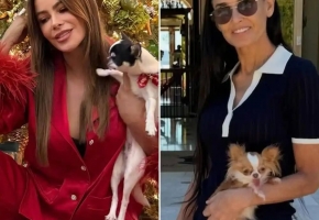 2025鸿威·世界宠物博览会9月19-21日广州启幕，爱宠人士不容错过