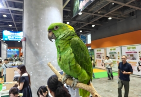 广州世界宠物博览会今日盛大开幕！