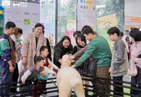 2025鸿威・长沙宠物博览会11月启幕 赋能文旅产业新升级