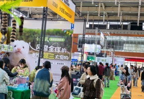 周末去哪儿？世宠会南京站今日开幕，萌宠赛事与互动体验等你来