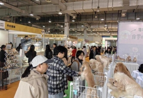 萌动江城 宠连世界｜2026鸿威・世界宠物博览会（芜湖展）盛大启幕