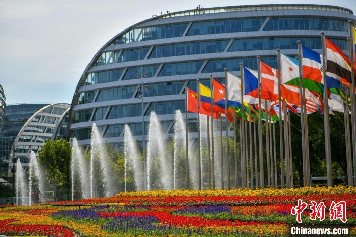 第五届进博会场馆景观装饰全面定妆。 陈梦泽 摄 第五届进博会场馆景观装饰全面定妆。 陈梦泽 摄