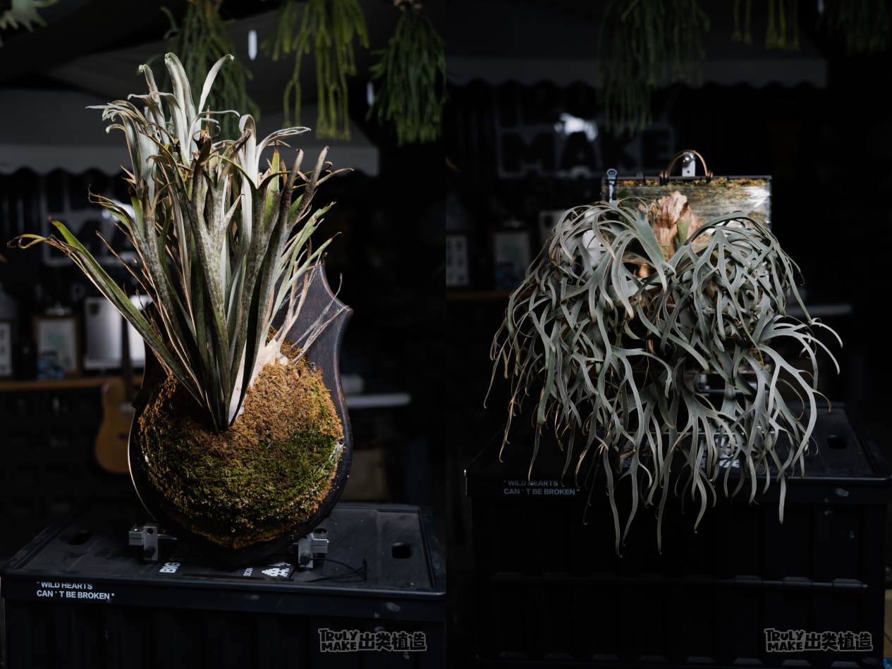 1773887188534212.png 图片2.png