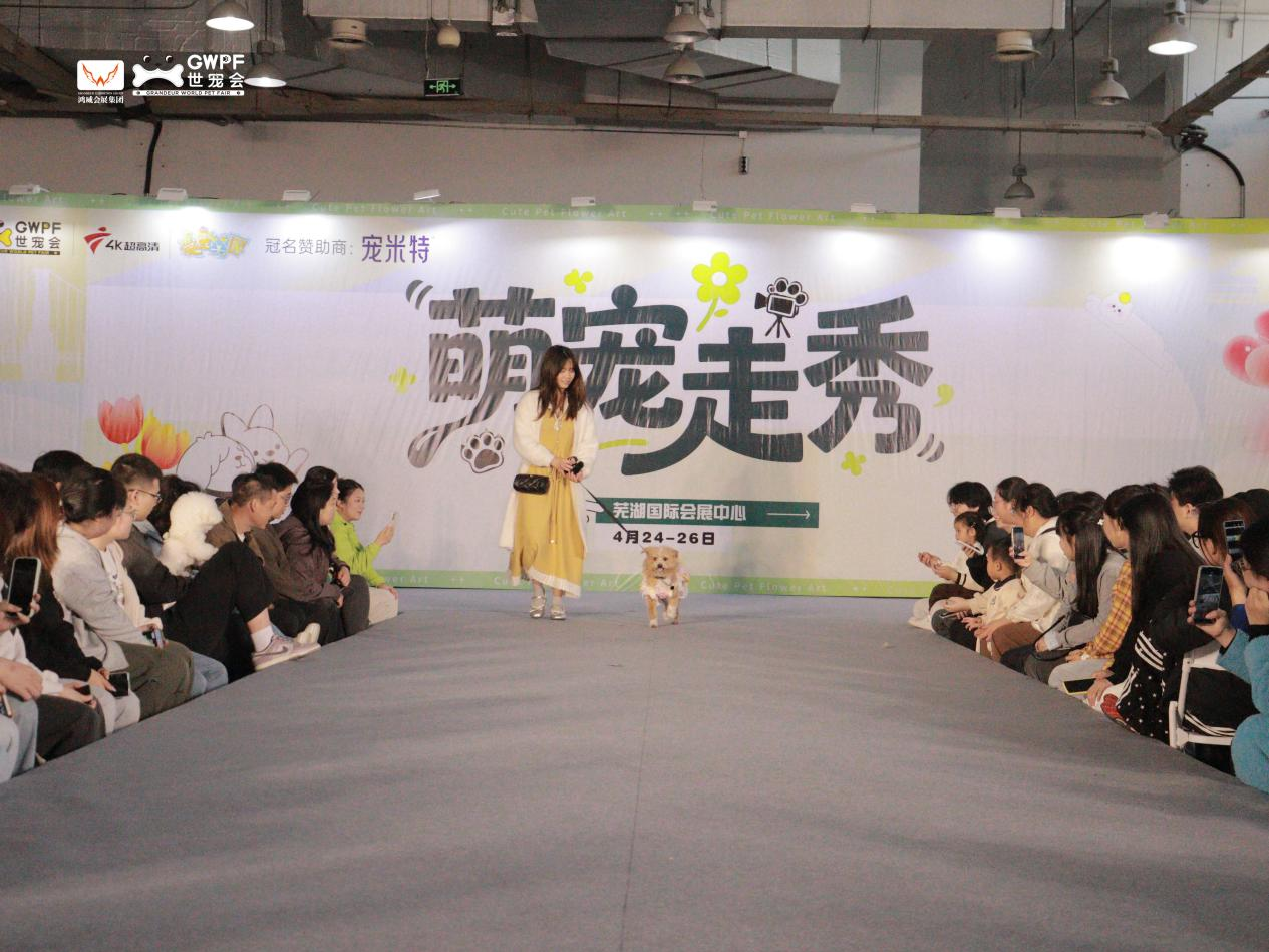 1777025466670321.png 图片8.png