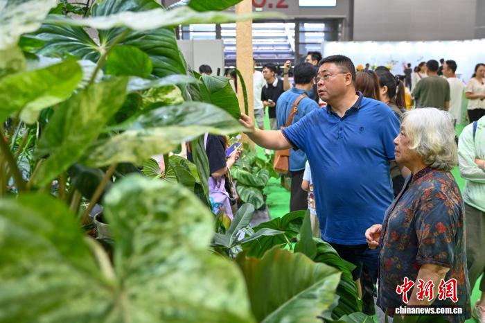 中国新闻网1.jpg