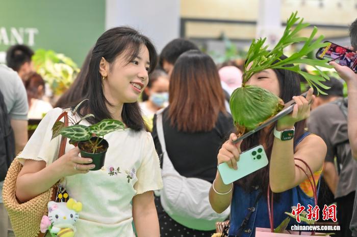 中国新闻网2.jpg