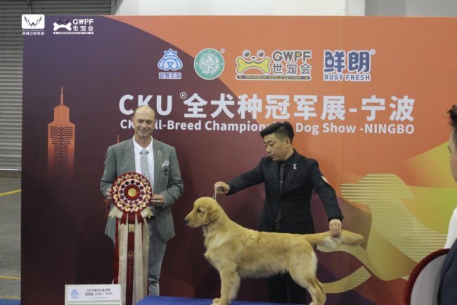 问鼎pg官网