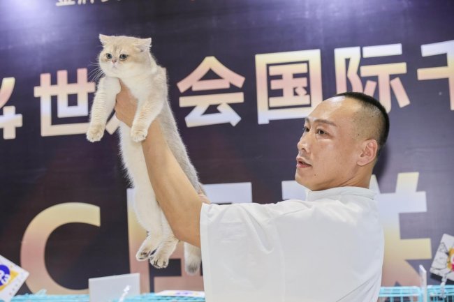 问鼎pg官网
