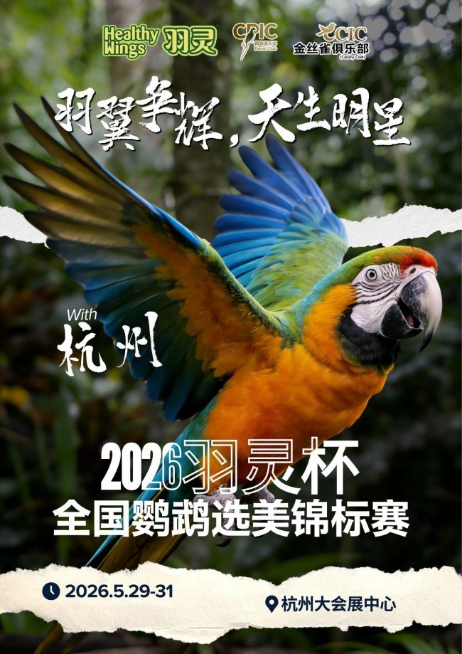 问鼎pg官网